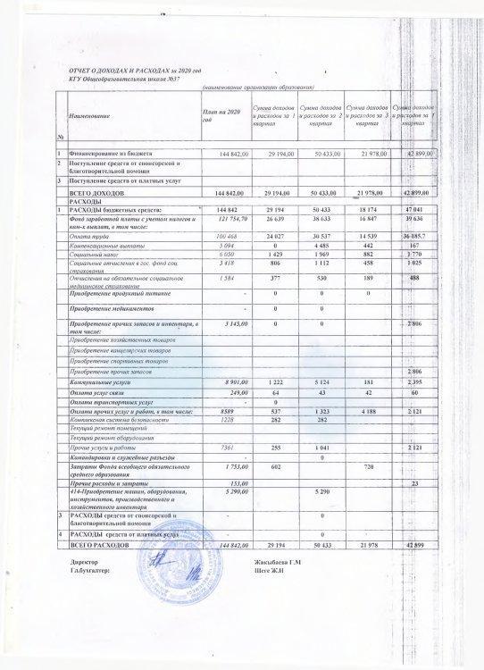 Отчет о доходах и расходах за год 2020