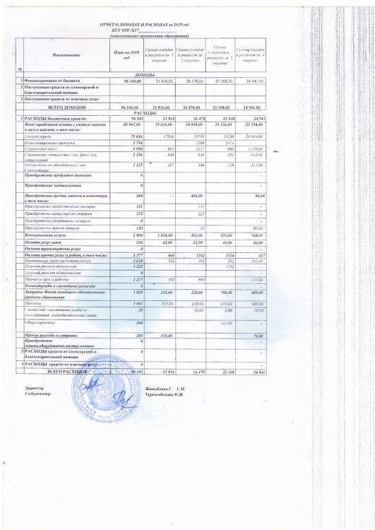 Отчет о доходах и расходах за год 2019